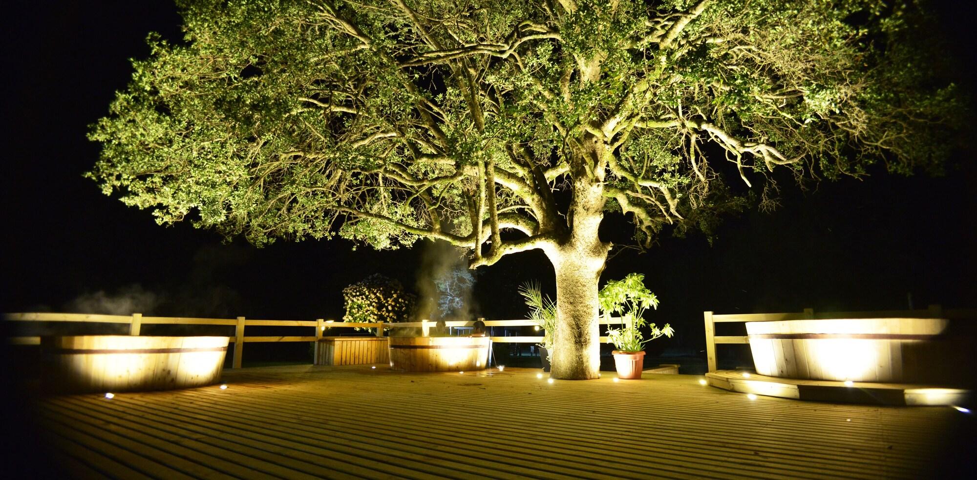 Pucon Green Park Hotel 32/39