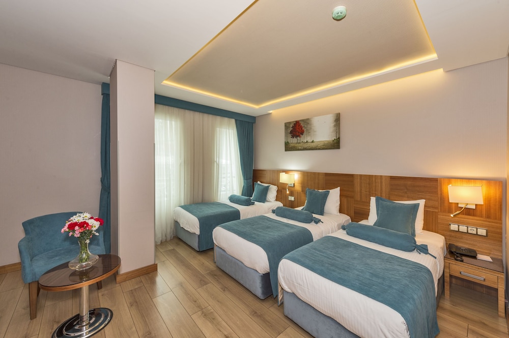 The Meretto Hotel Istanbul 20/66