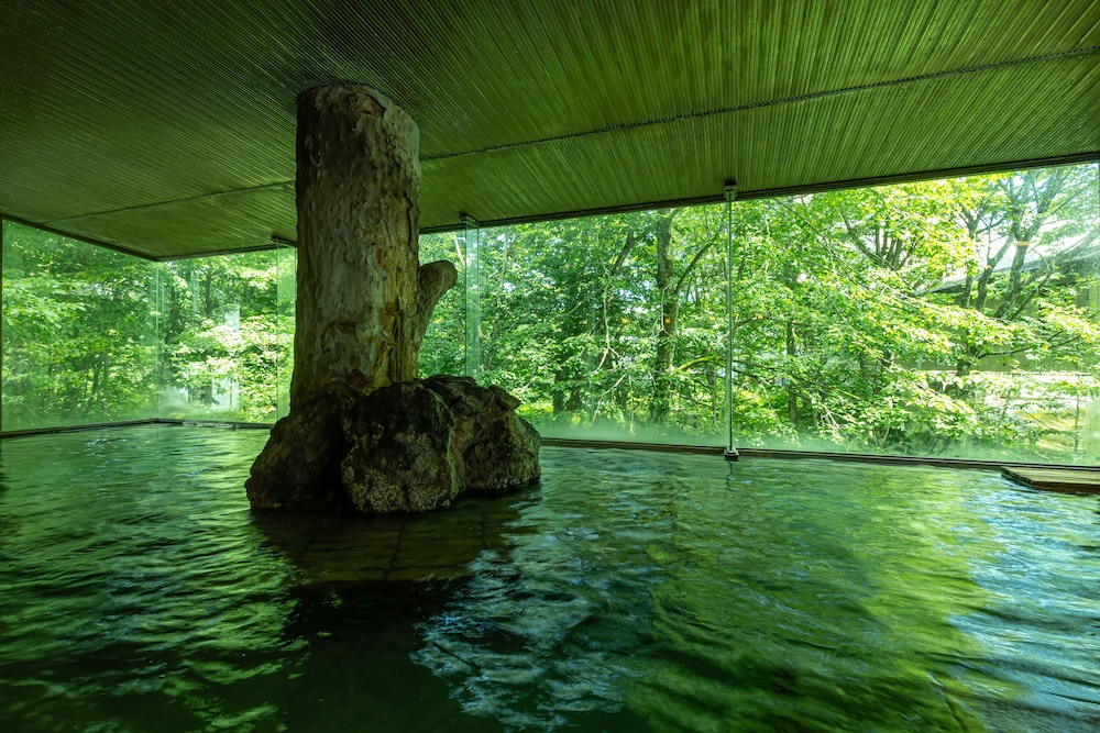 KAMENOI HOTEL Tazawako 32/50