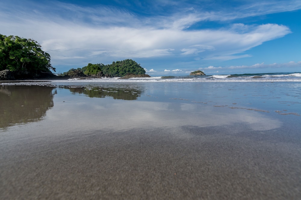 Manuel Antonio 40/49