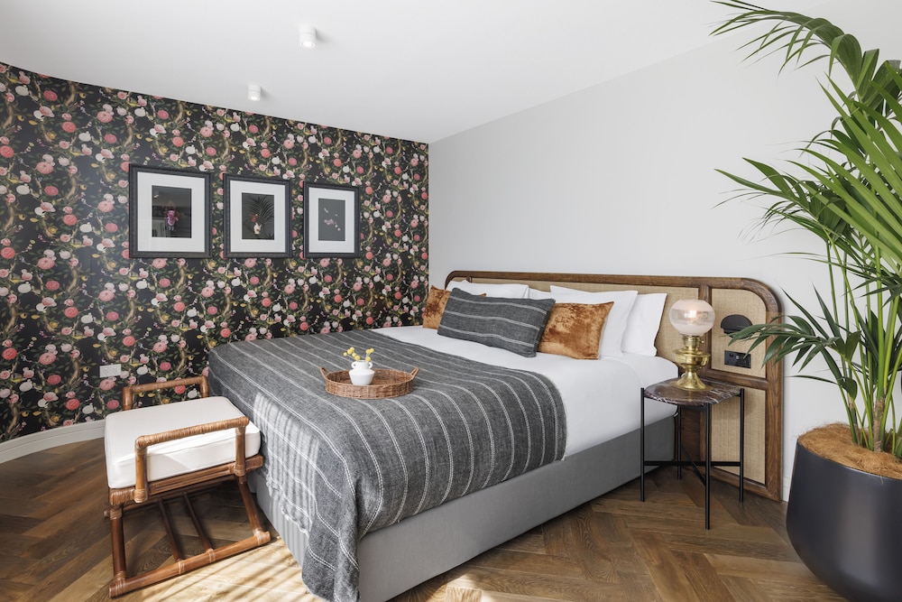 Suite, King Bed