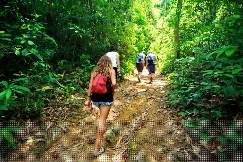 Khao Sok River Lodge 33/50
