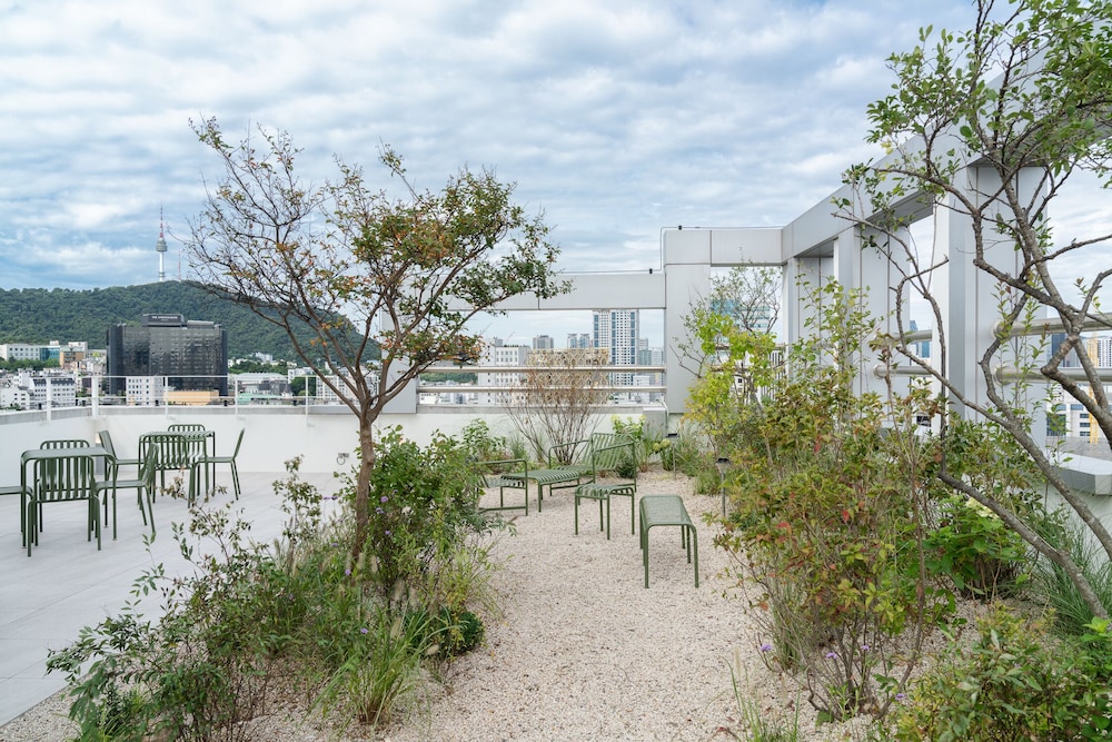 Mangrove Dongdaemun 3/37