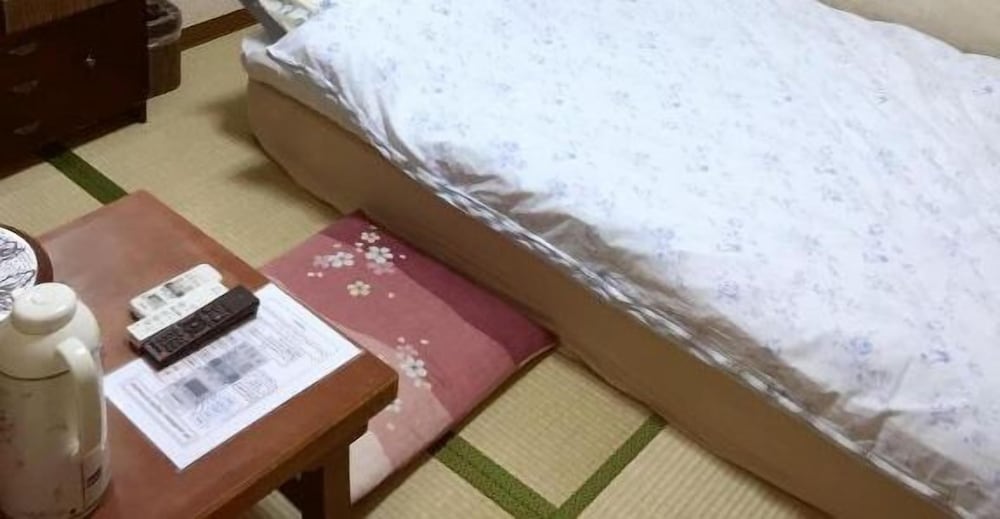 Asakusa Ryokan Toukaisou 27/47