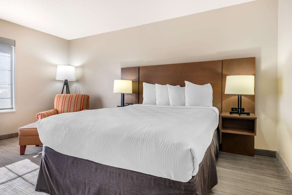 Room, Queen Bed, Accessible