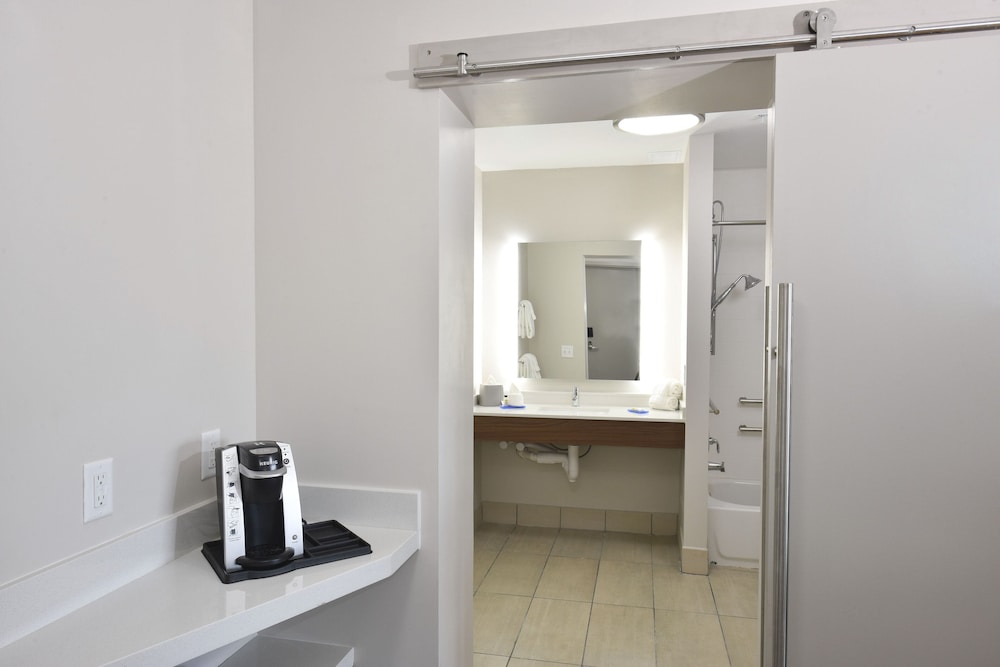 Holiday Inn Express & Suites Orlando - Lake Nona Area 20/47