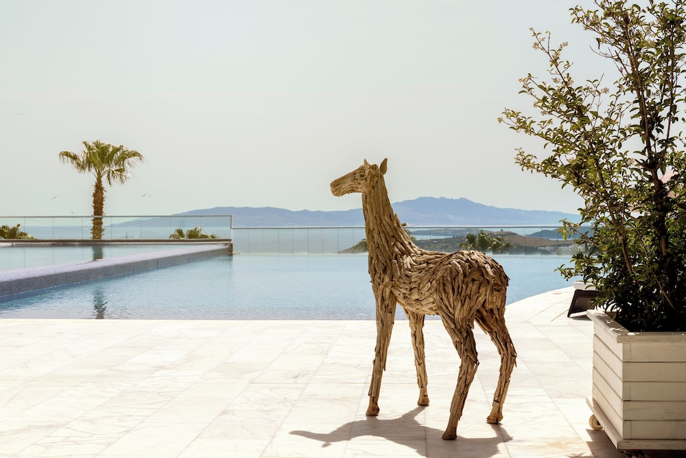 Hillstone Hotel and Spa Bodrum 41/50