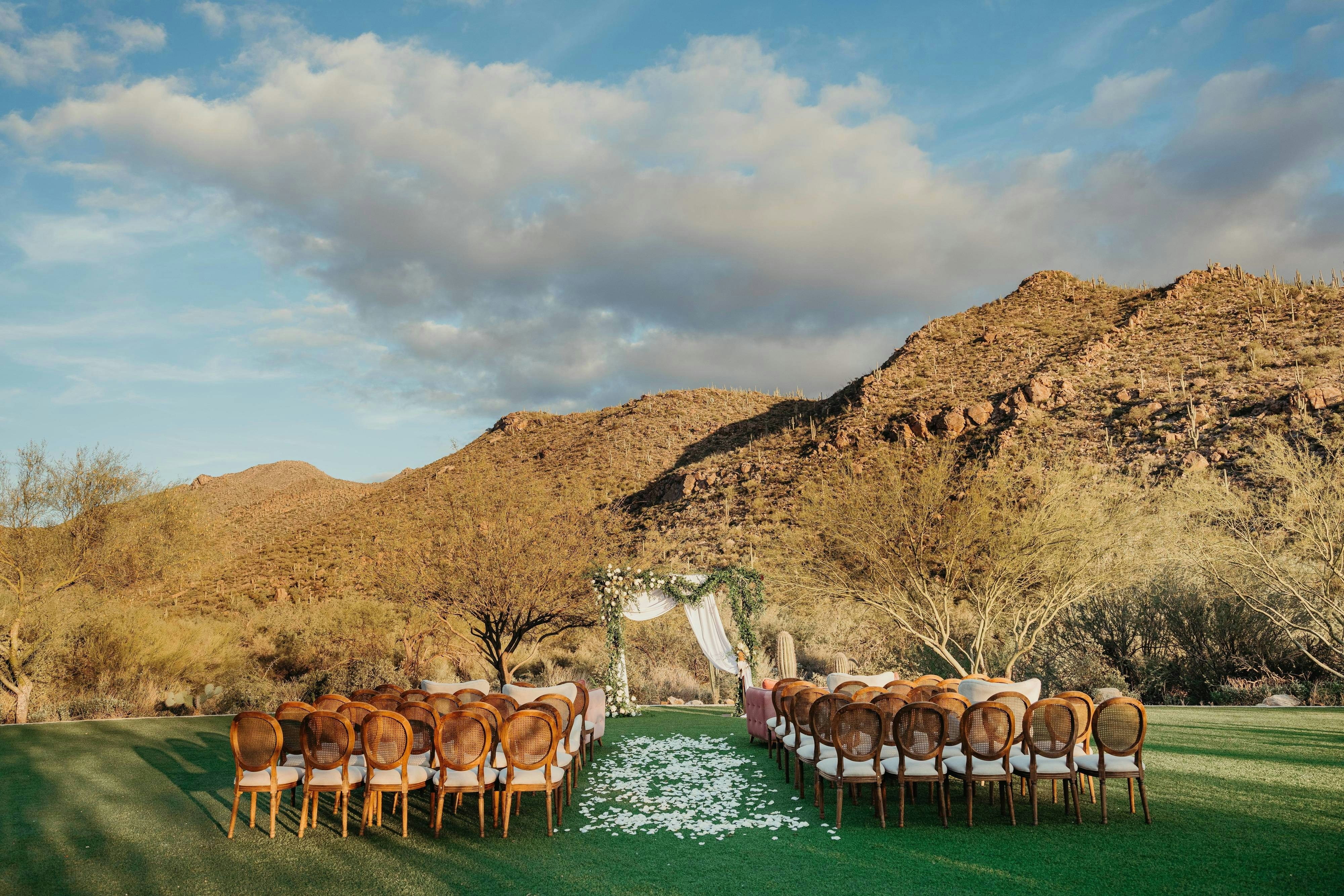 The Ritz Carlton Dove Mountain 35/51