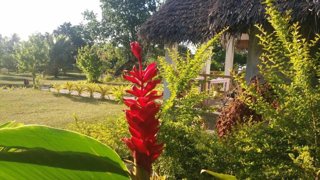 Alofa Beach Bungalows 15/22