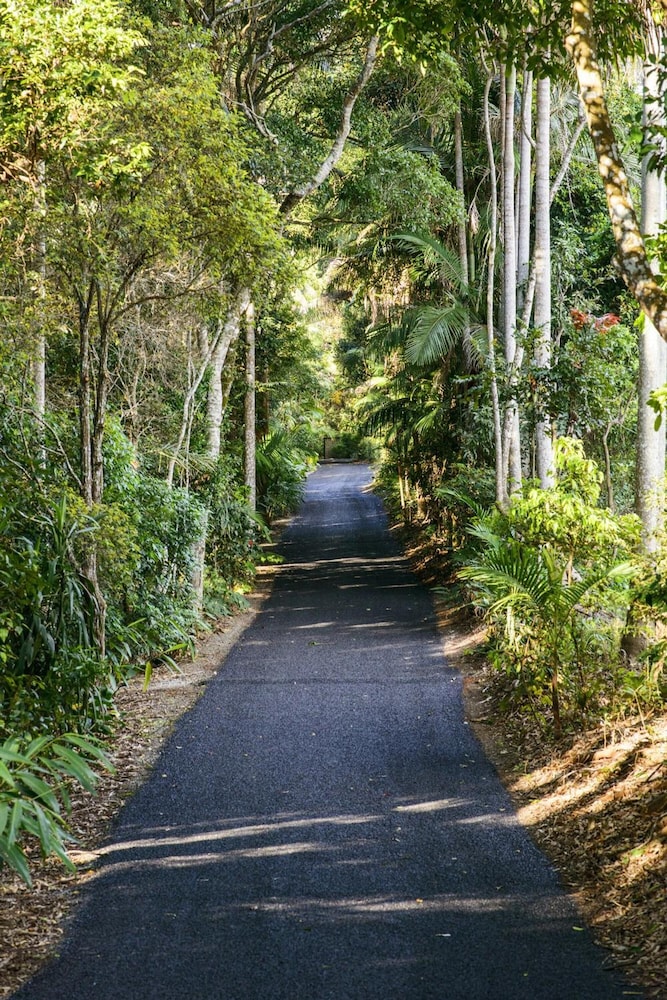 PETHERS RAINFOREST RETREAT 42/50
