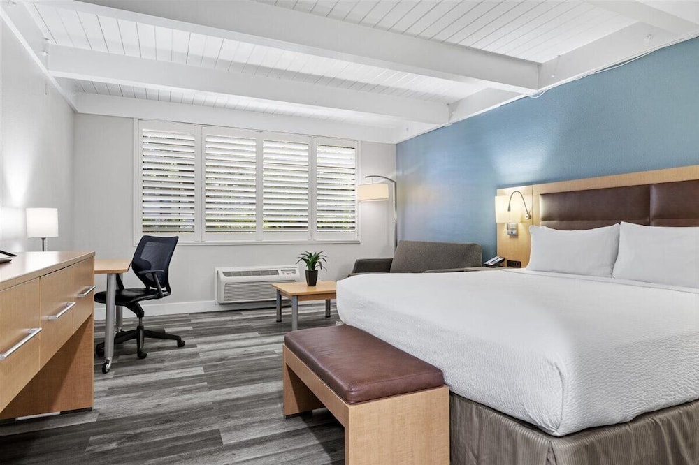 Standard, King Bed
