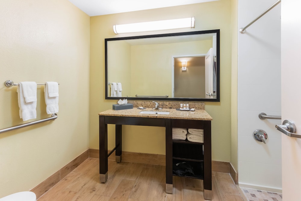 La Quinta Inn And Suites Carlsbad 45/59