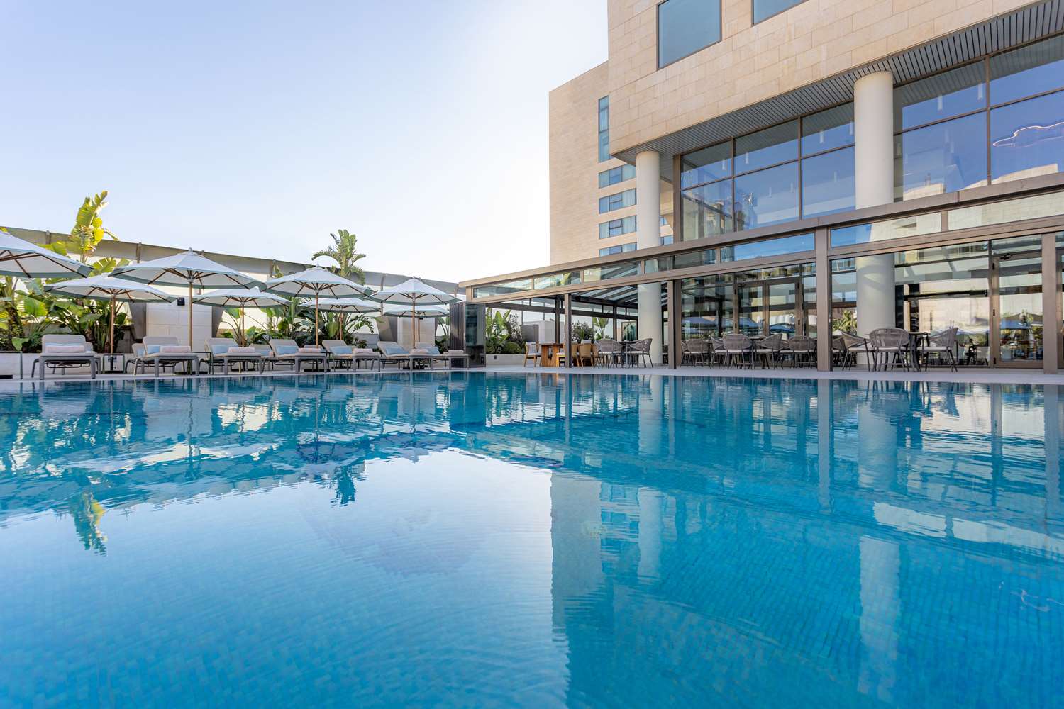 Signia by Hilton Amman 59/60