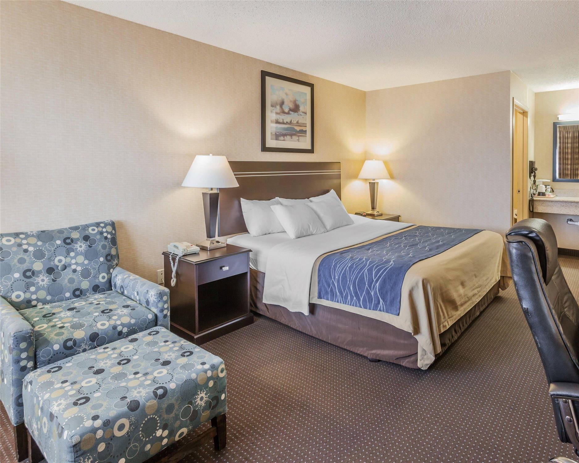 Room, King Bed