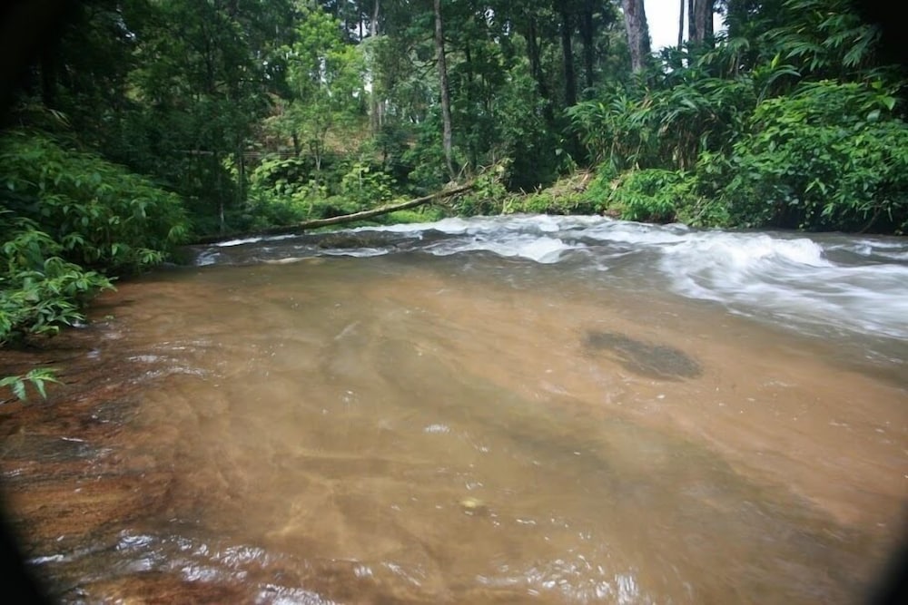 Wild Elephant Eco Friendly Resort 25/32