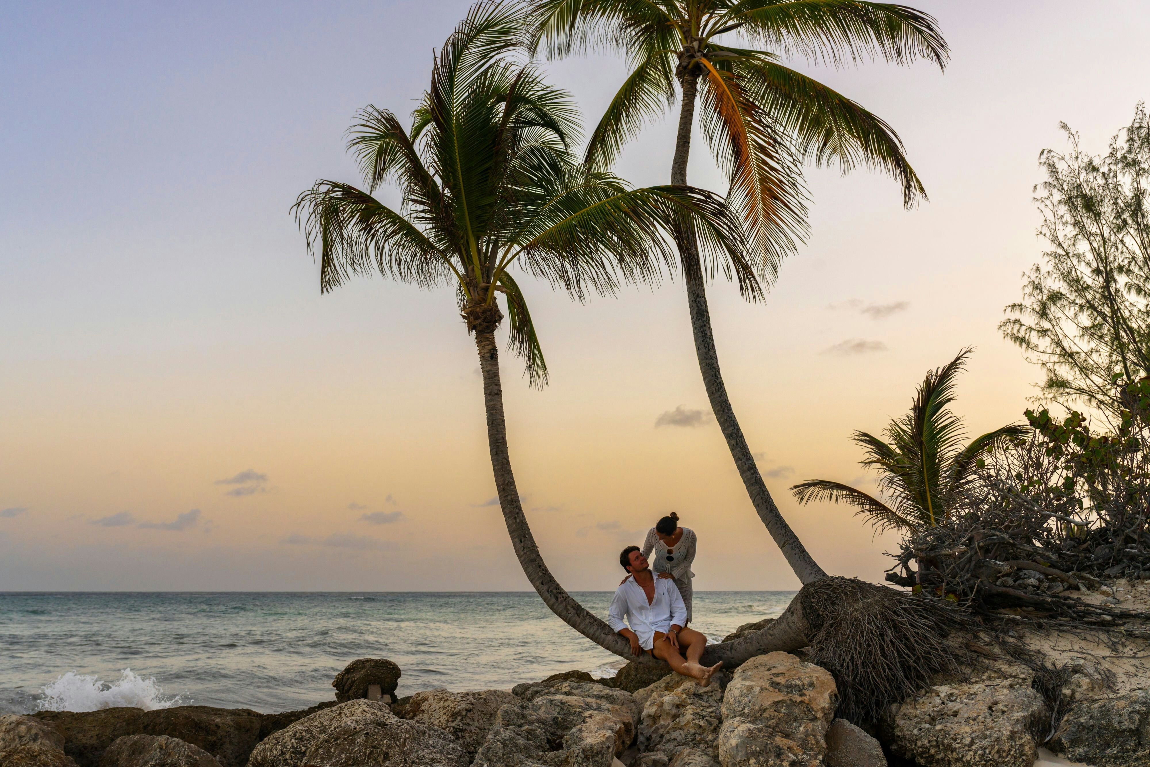 Turtle Beach By Elegant Hotels - All-Inclusive 33/42