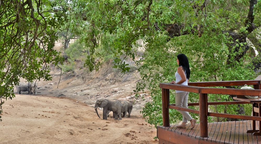 Hamilton Tented Camp 7/56
