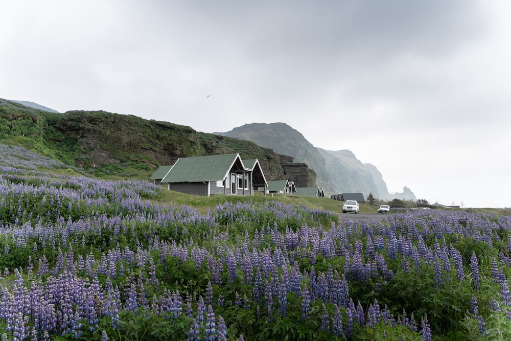 Vik Cottages 1/24