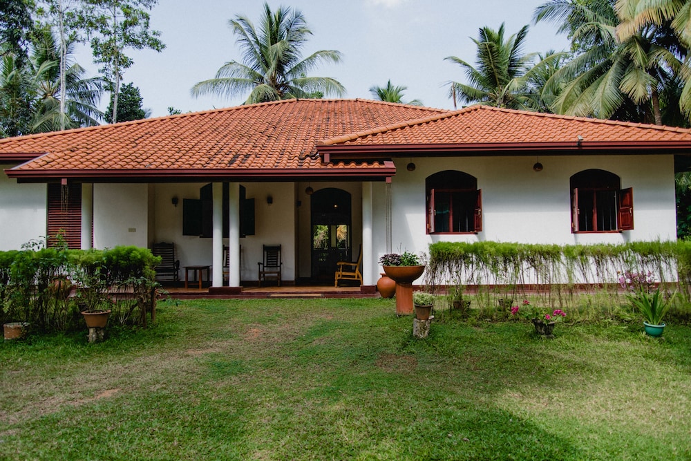 Coconut Treehouse 23/24