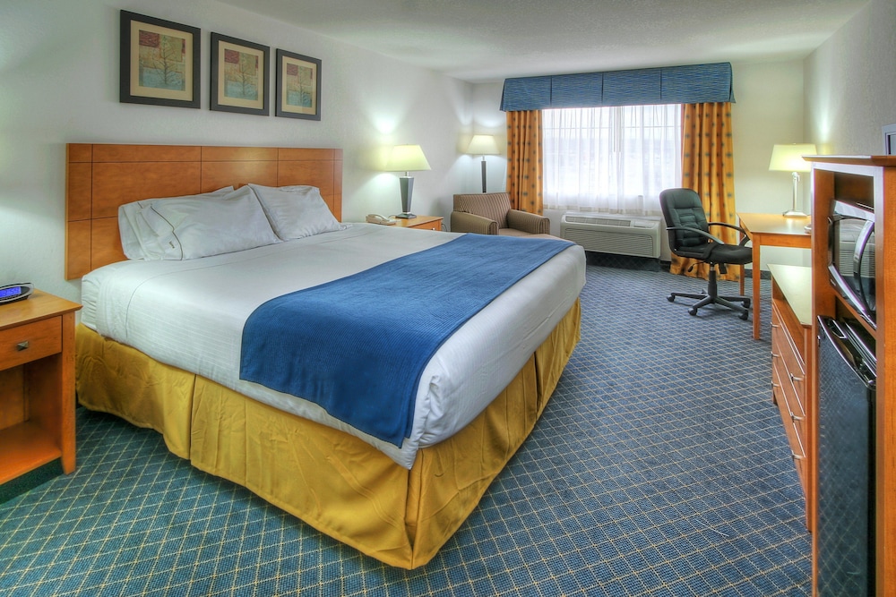 Holiday Inn Express Hotel and Suites Carlsbad 23/65