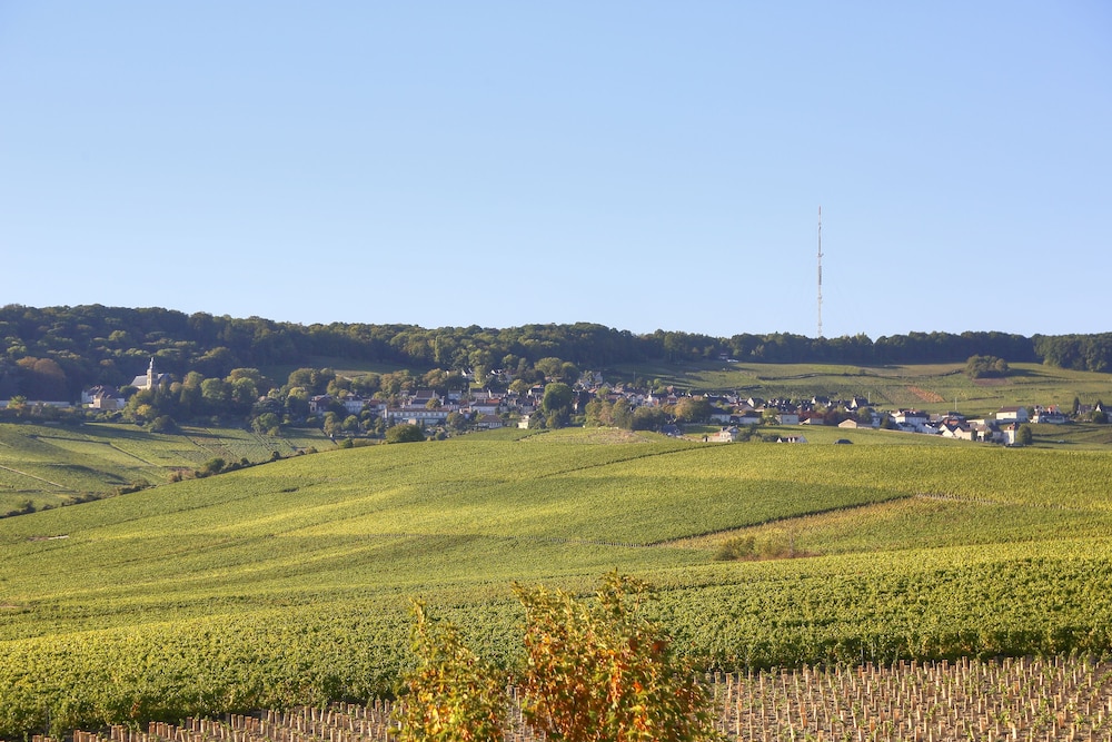 Les Grains DArgent 16/20