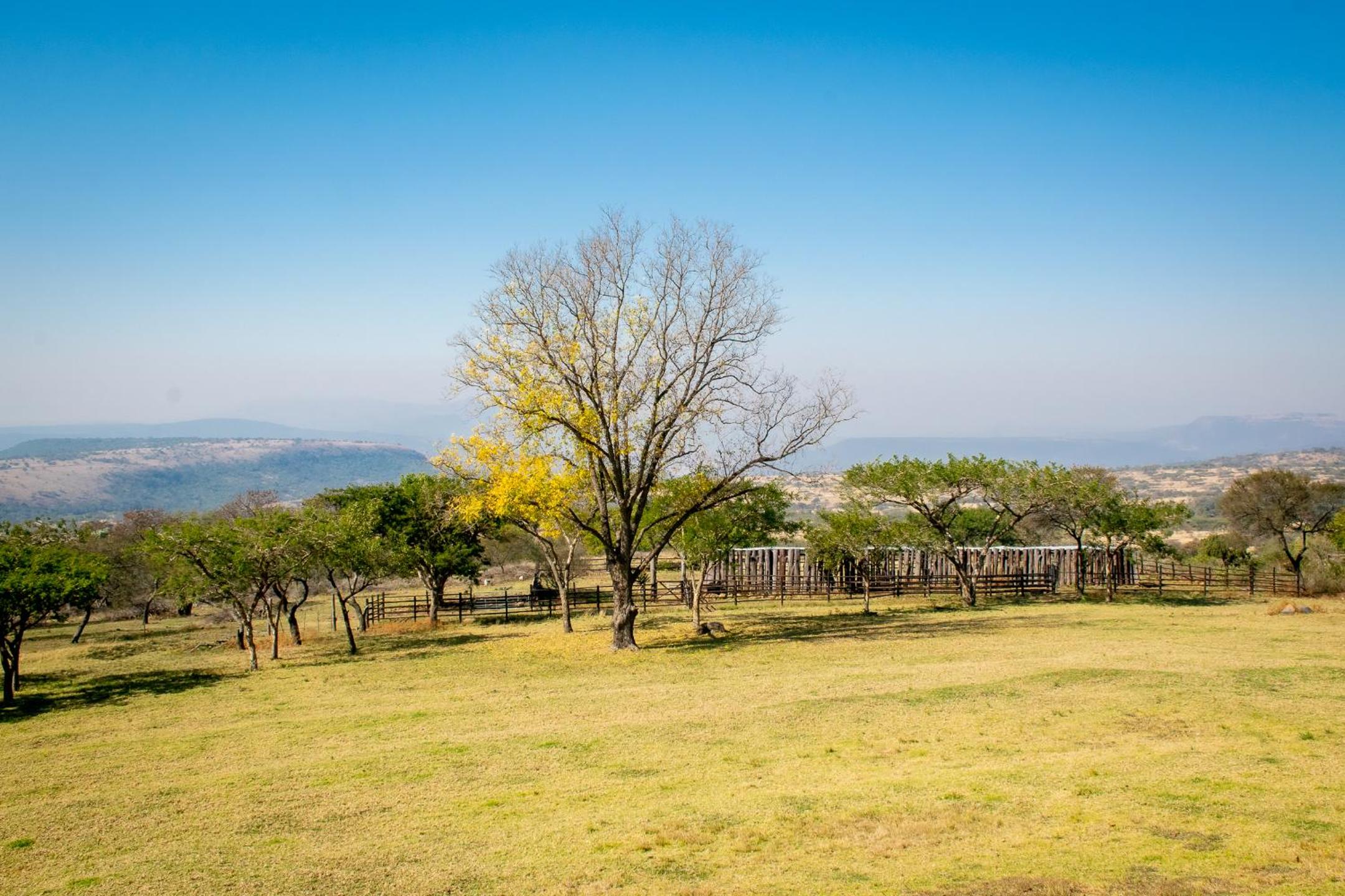 Rorke s Drift Lodge 45/50