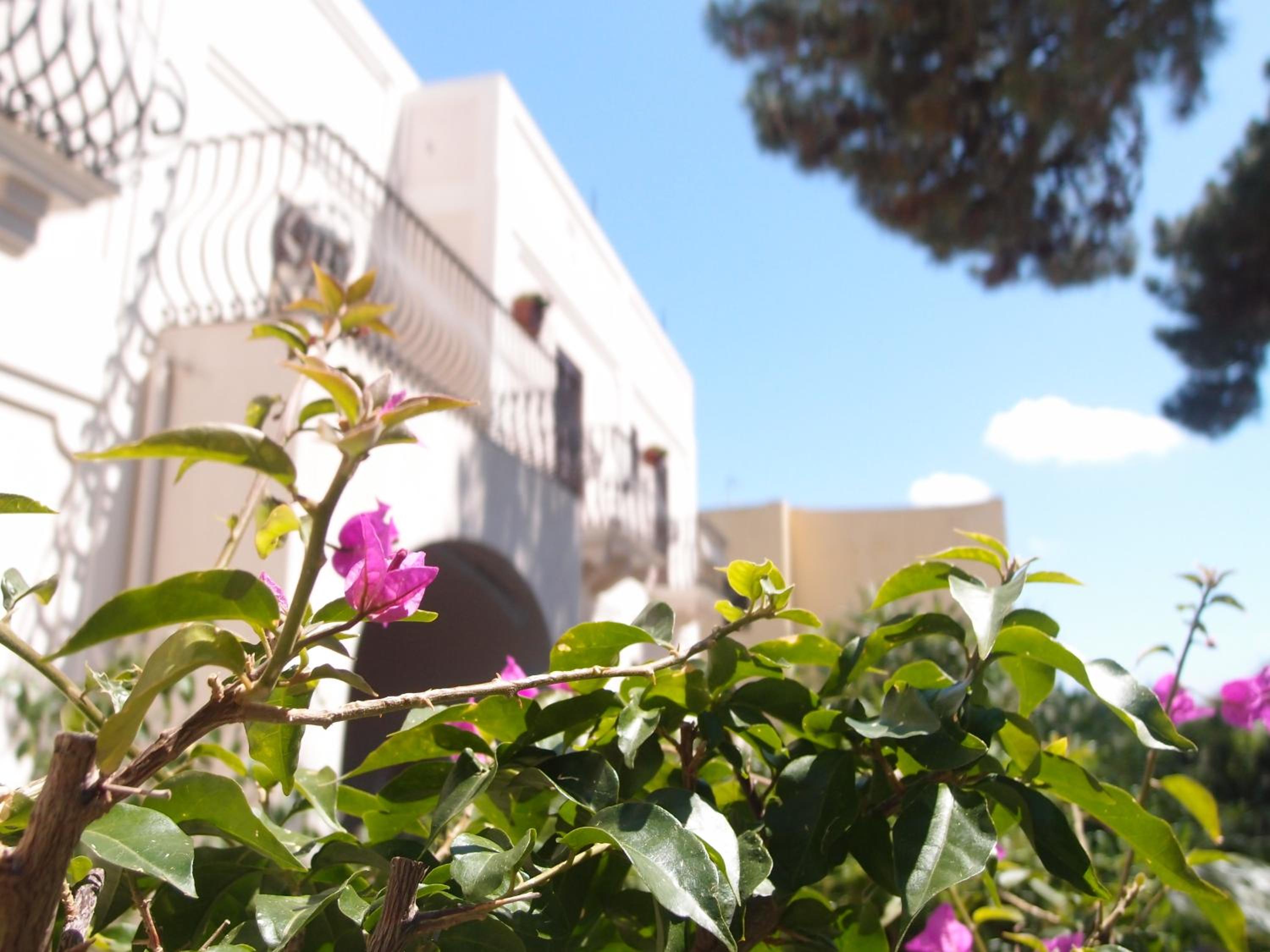 Hotel Corallo Lipari 6/49