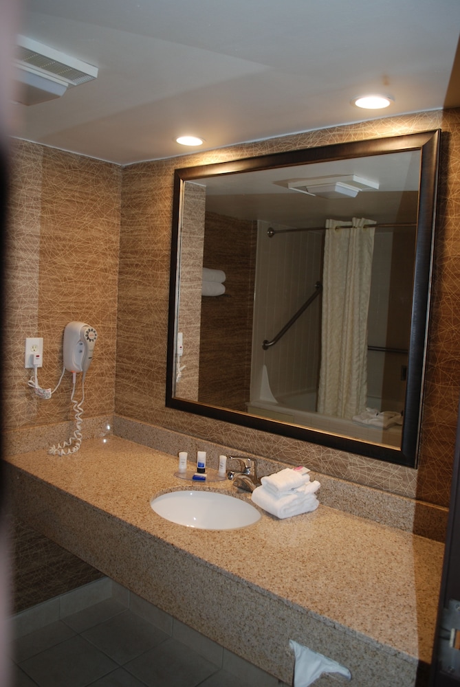 Best Western Detroit Livonia 21/42