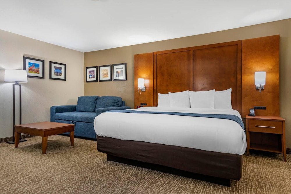 Room, King Bed, Large