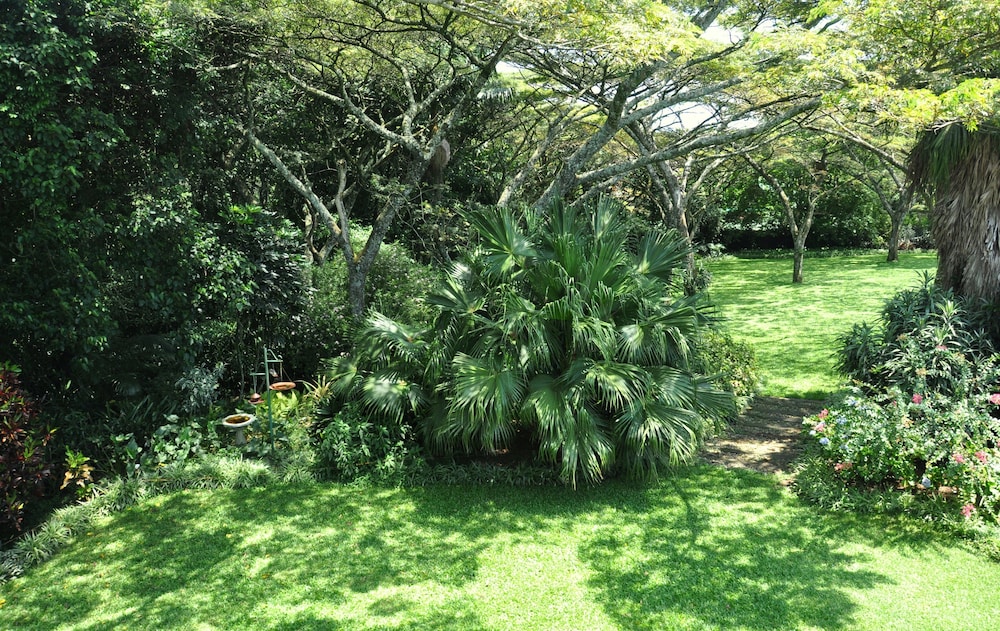 Birds of Paradise B&B 40/46