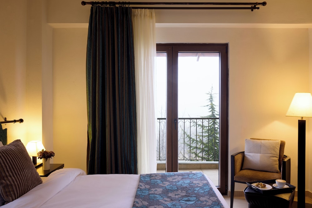 Domotel Neve Mountain Resort & Spa 26/64