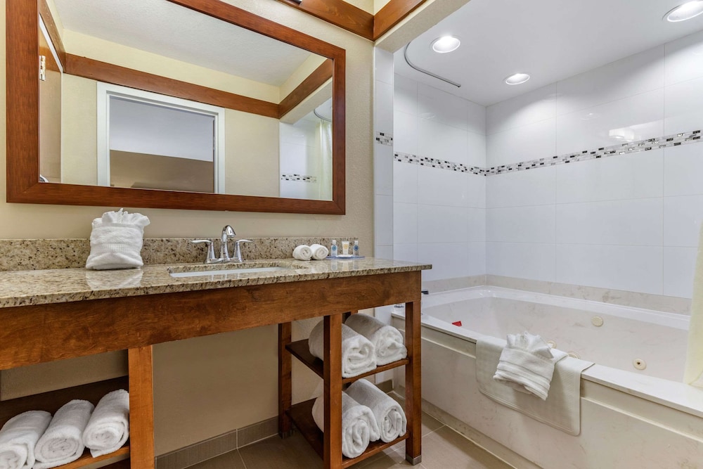 Comfort Inn & Suites Clemson - University Area 18/49