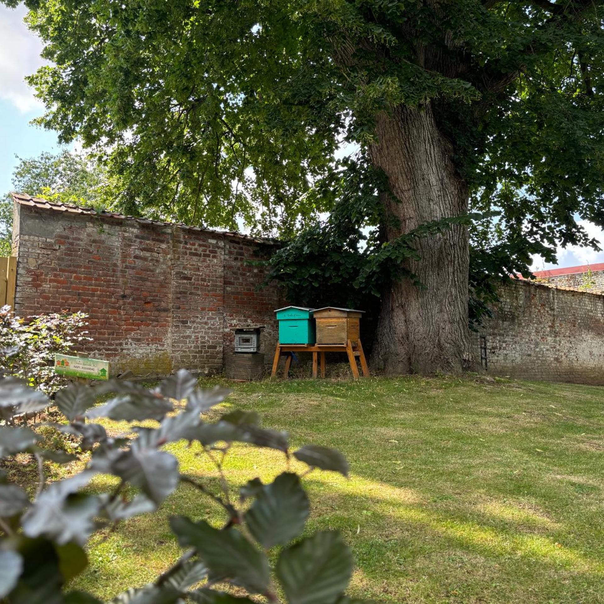 HOTEL LE MOULIN D'ARTRES 42/49
