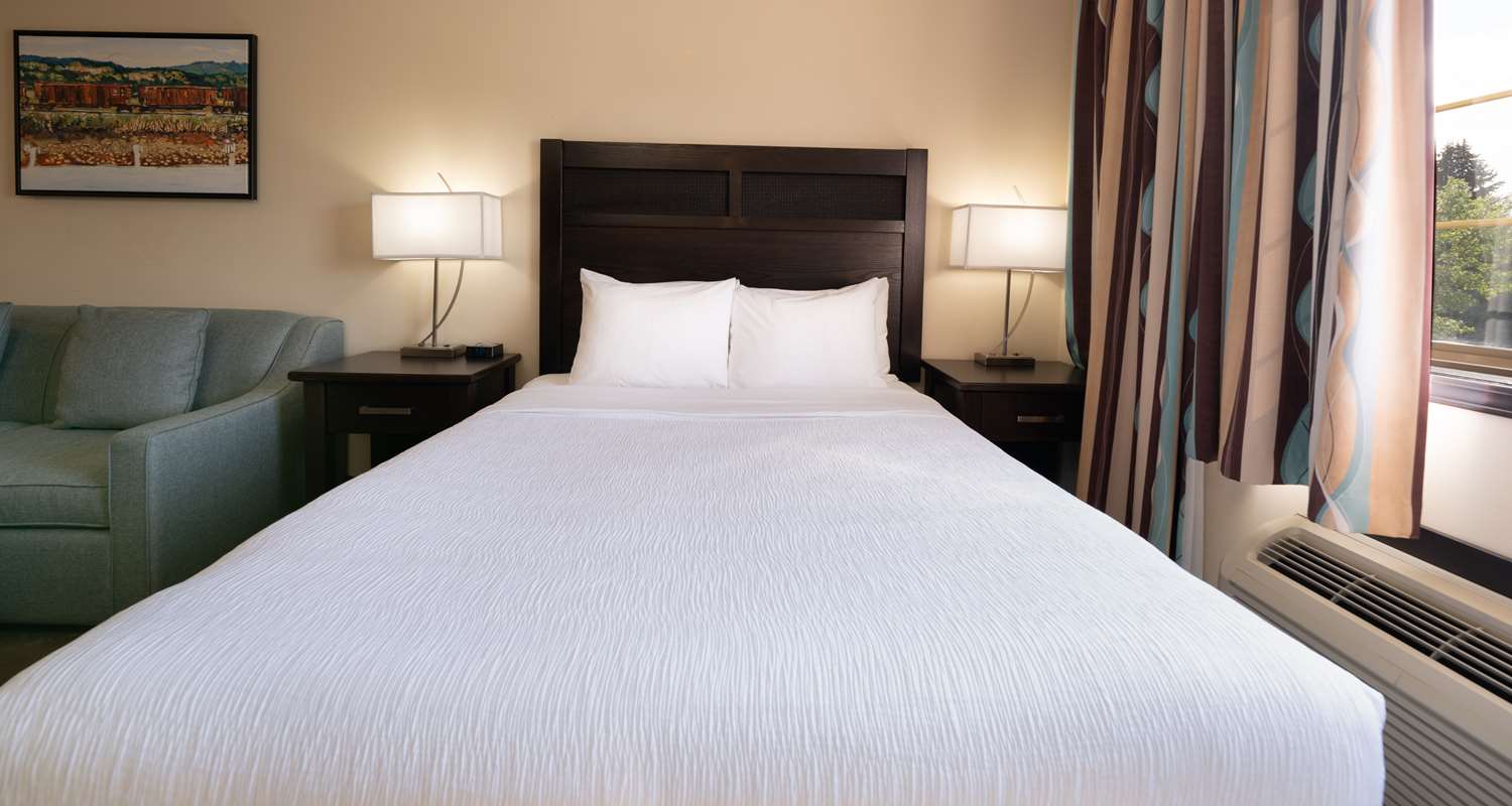 Suite, Queen Bed, Sofa, Kitchenette
