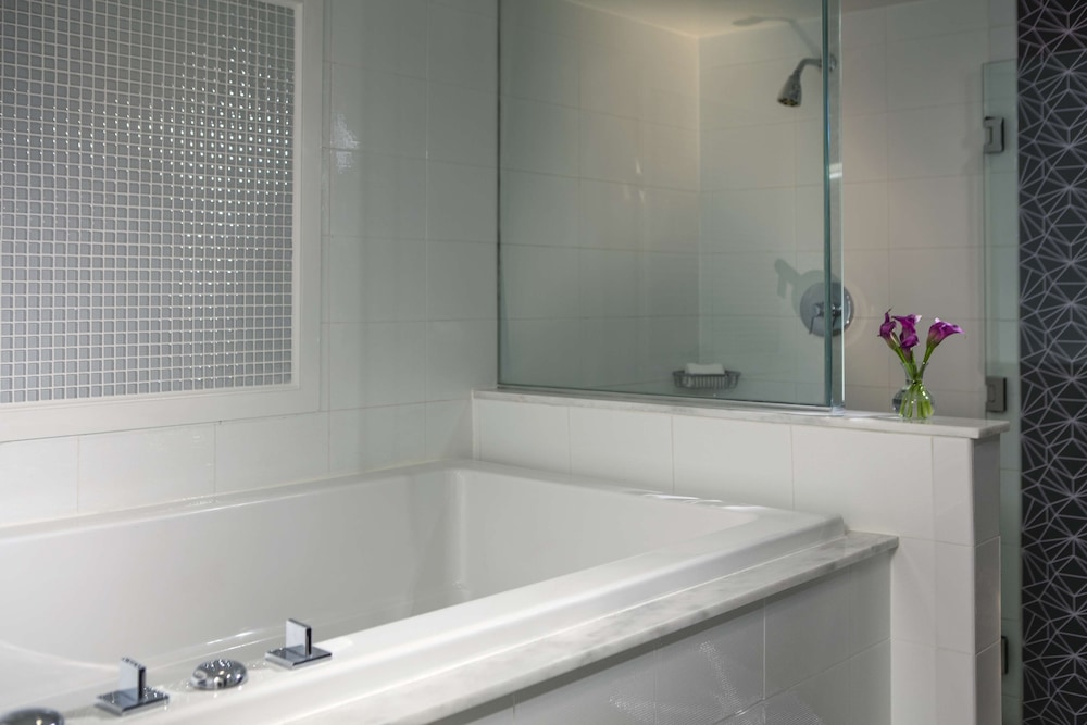 The Royal Sonesta Washington DC Dupont Circle 20/71