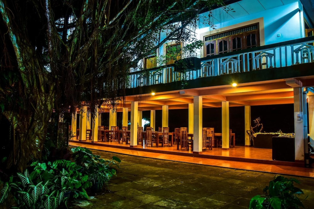 Rainforest Lodge 1/50