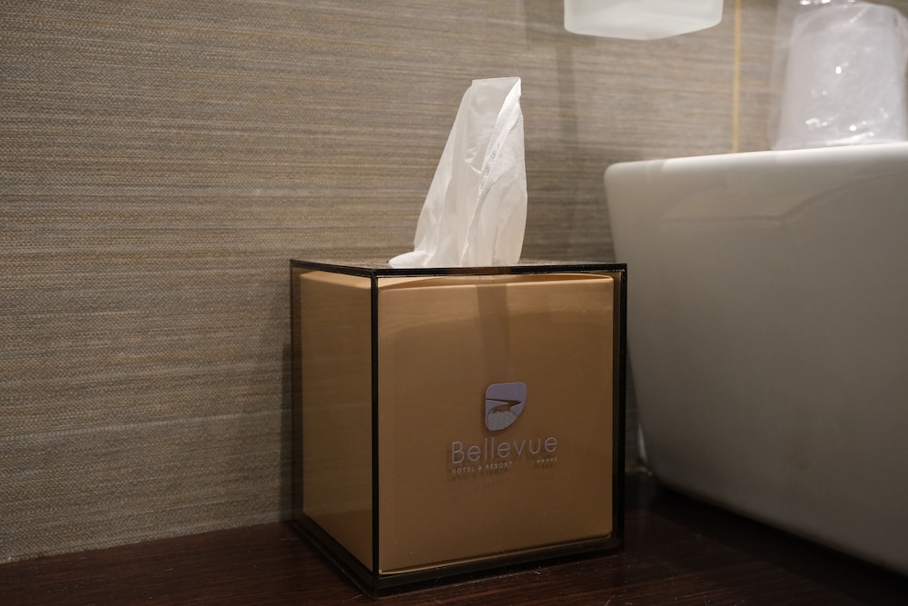 Hotel Bellevue Resort 29/69
