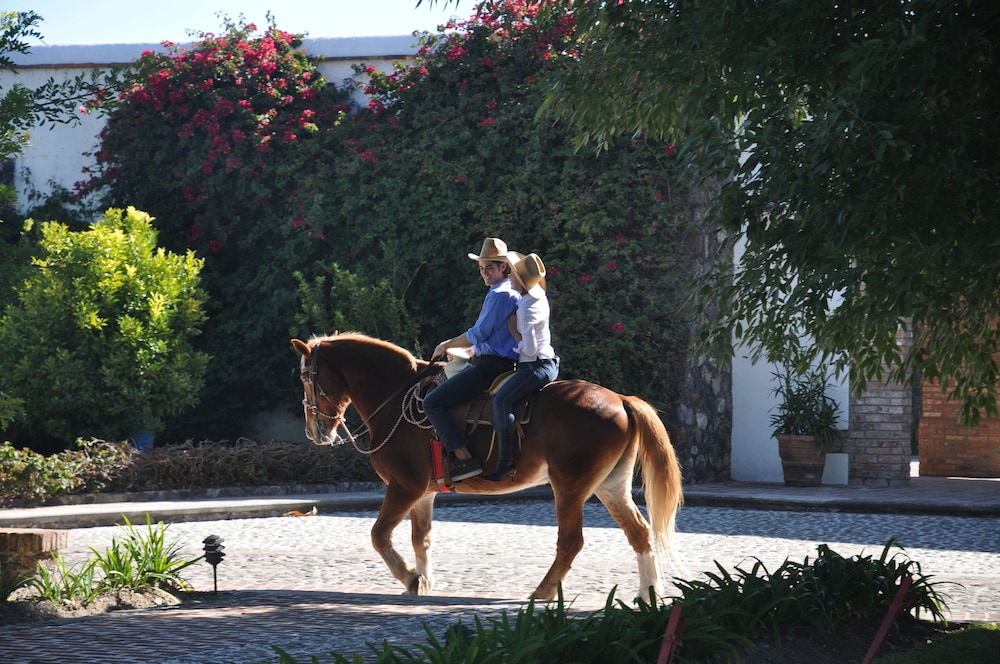 HOTEL HACIENDA CANTALAGUA GOLF 32/65
