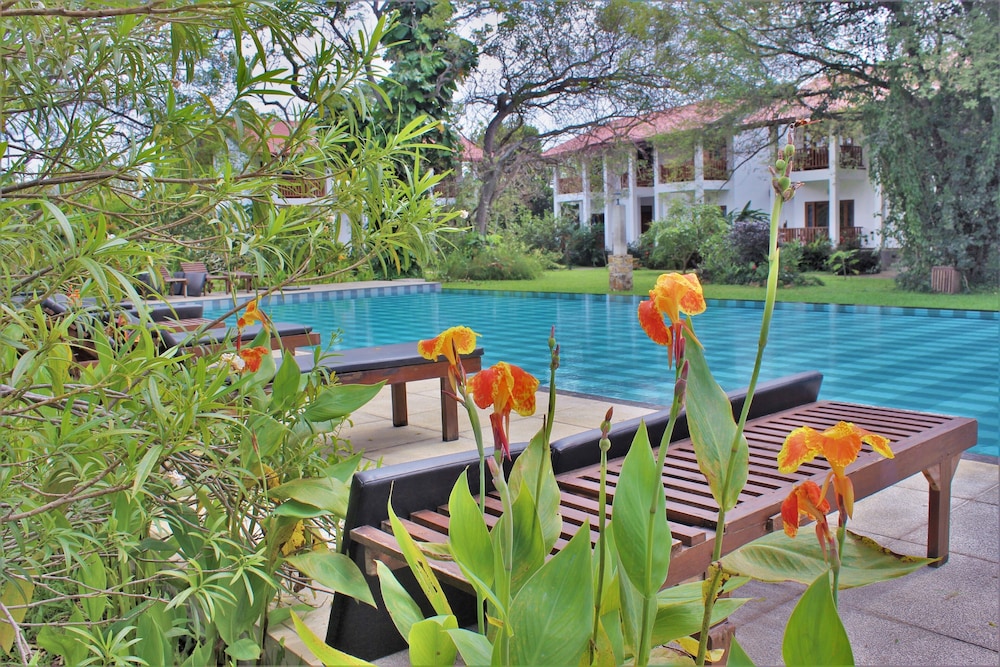 Blue Turtle Hotel 45/51