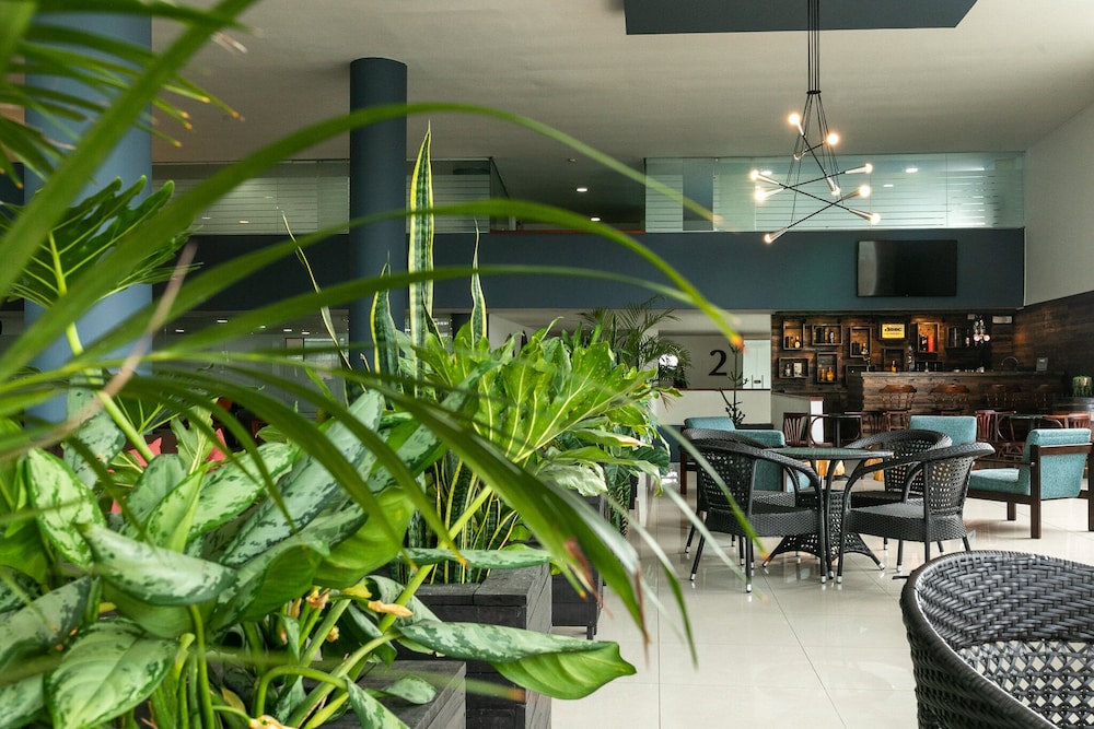 Hotel Carretero 51/66