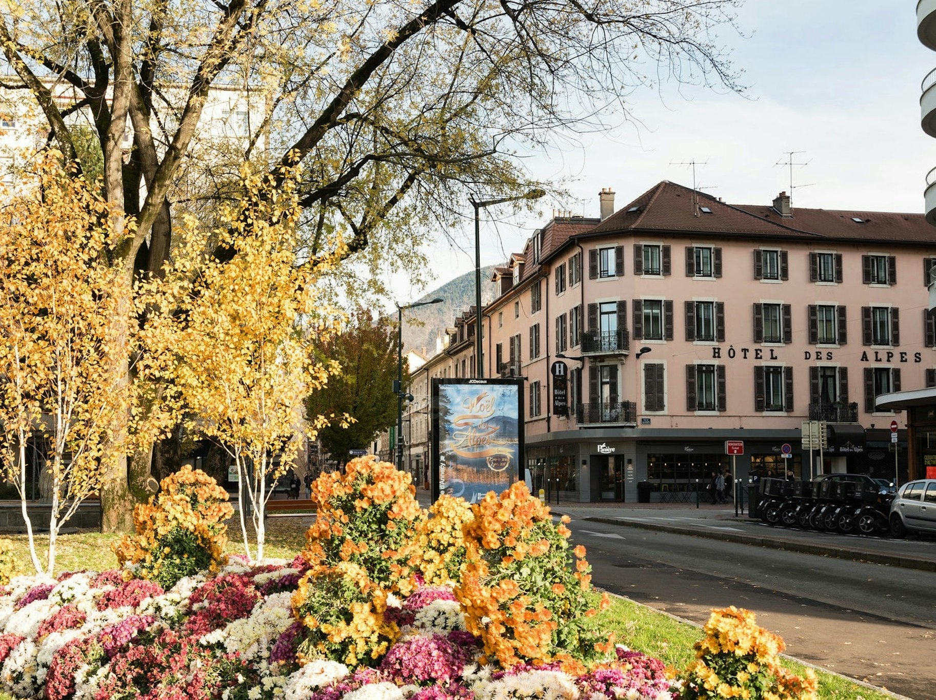 HOTEL DES ALPES 2/17