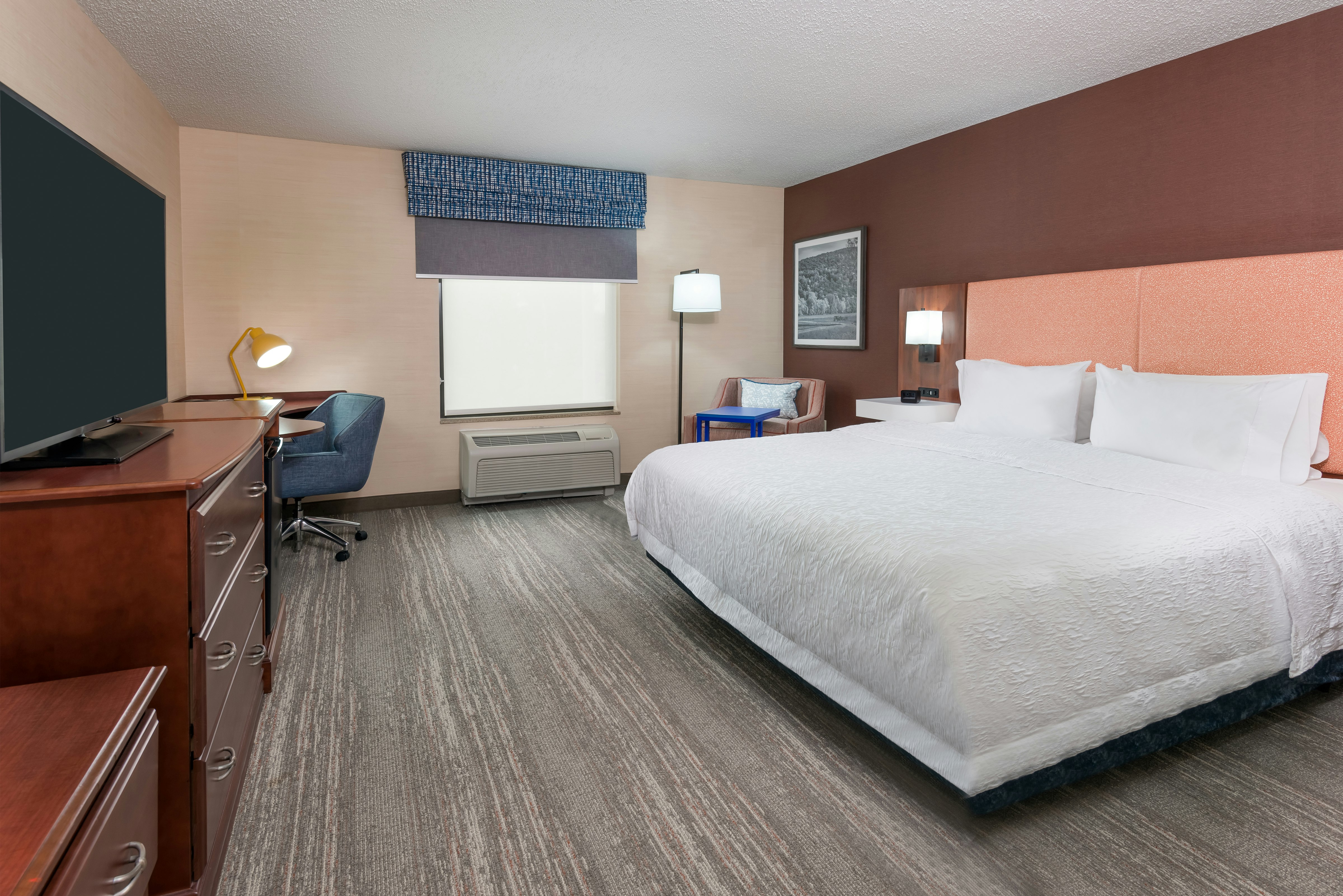 Room, King Bed, Accessible