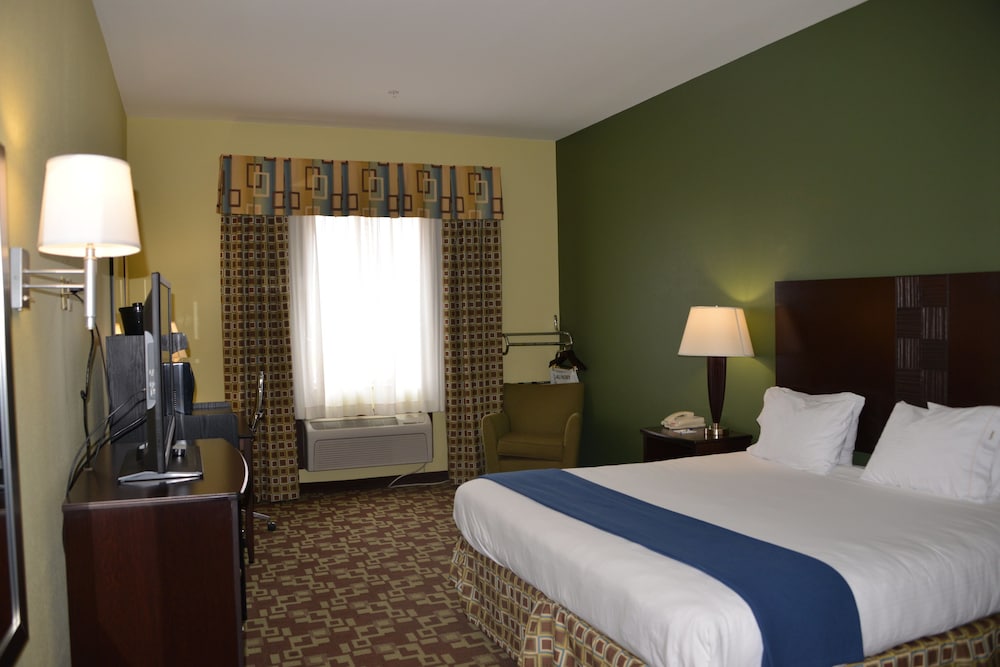 Holiday Inn Express Hotel Suites Dumas 22/72