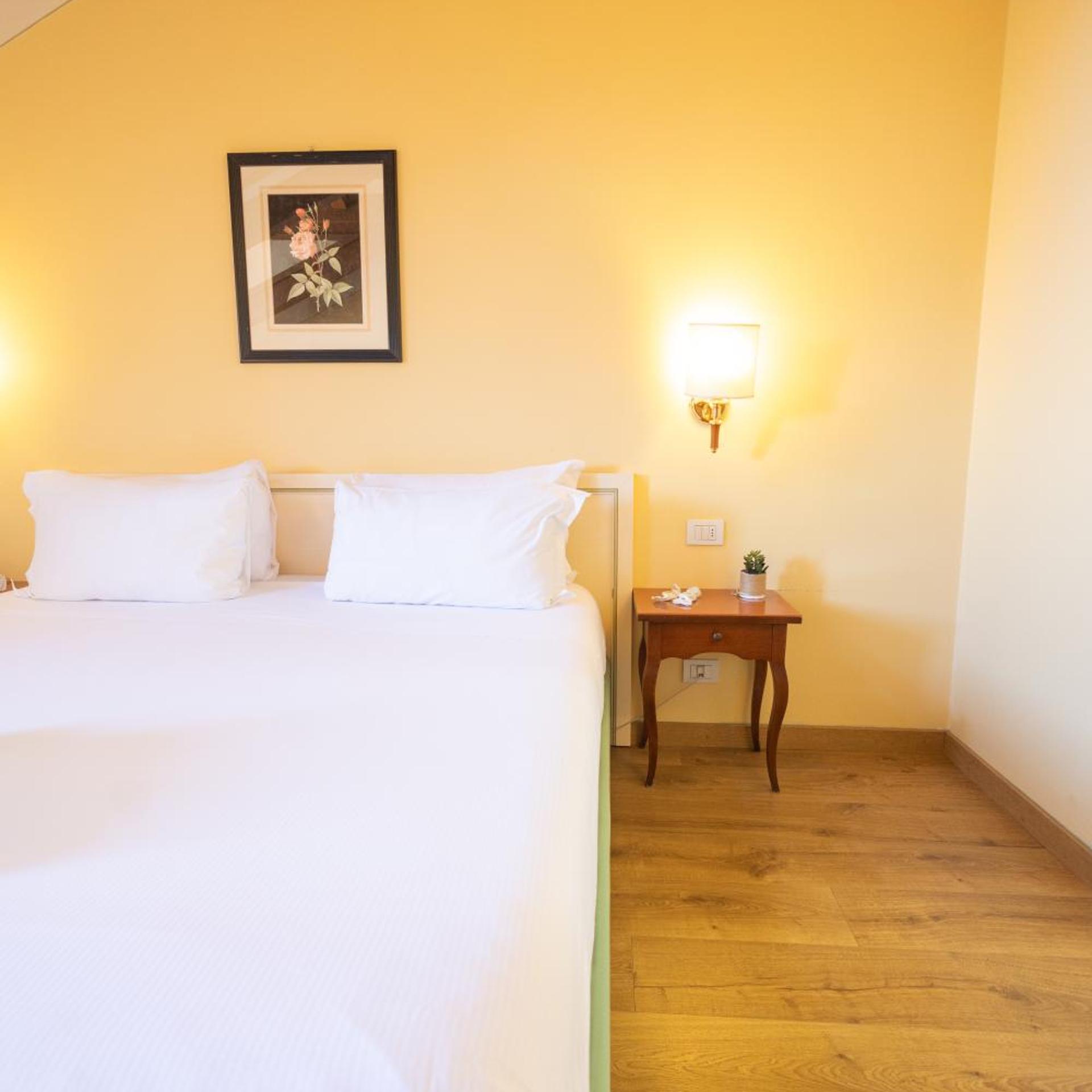 Room, Double or Twin Bed, Lake View, Attic، Hotel Pallanza 2/3