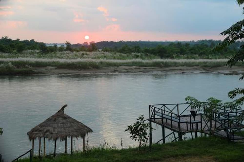 Jungle Sunset Camp 10/20