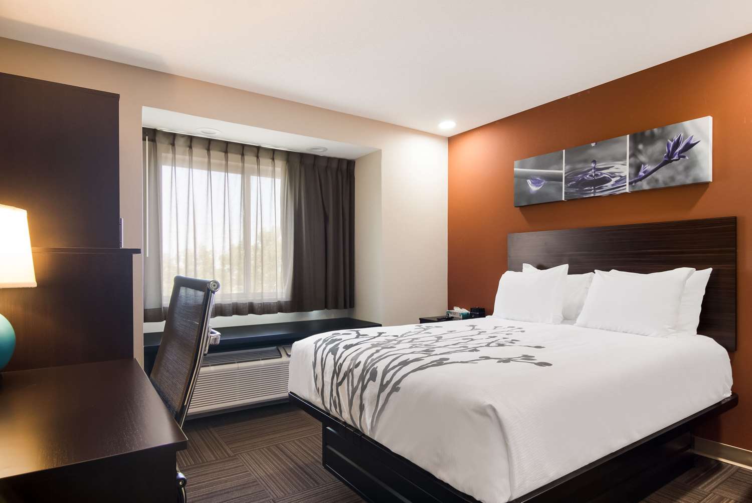 Sleep Inn Erie near Sports Center 15/44