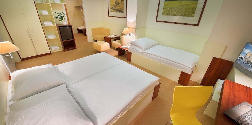 Hotel Grand Litava 19/49