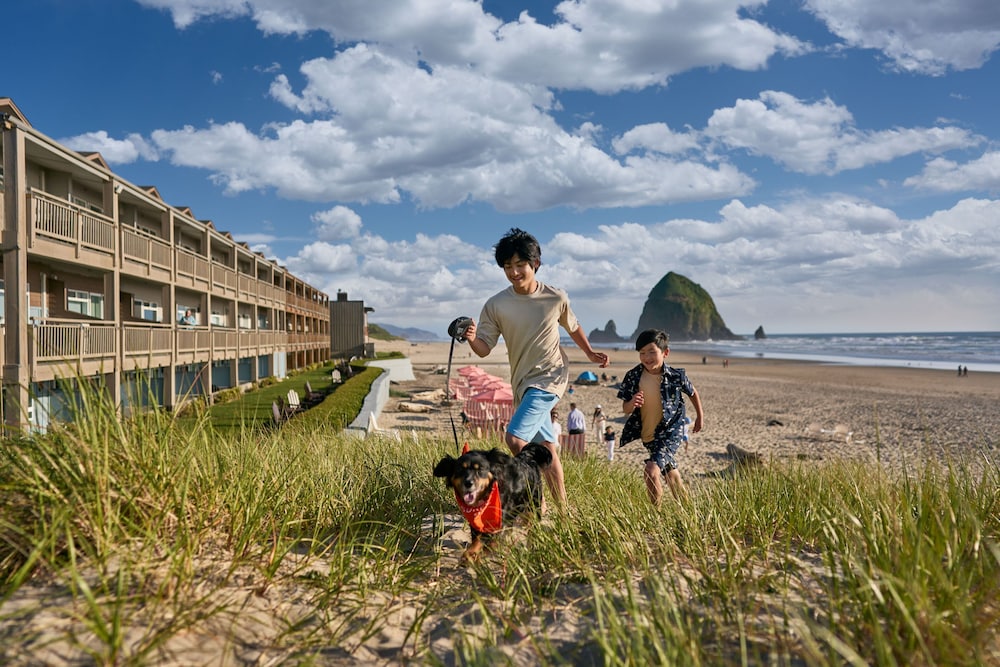Surfsand Resort 40/50