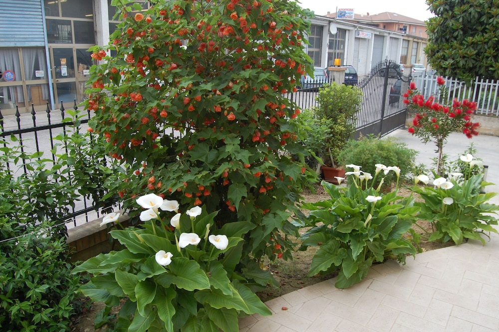 B&B La Tartaruga 40/50