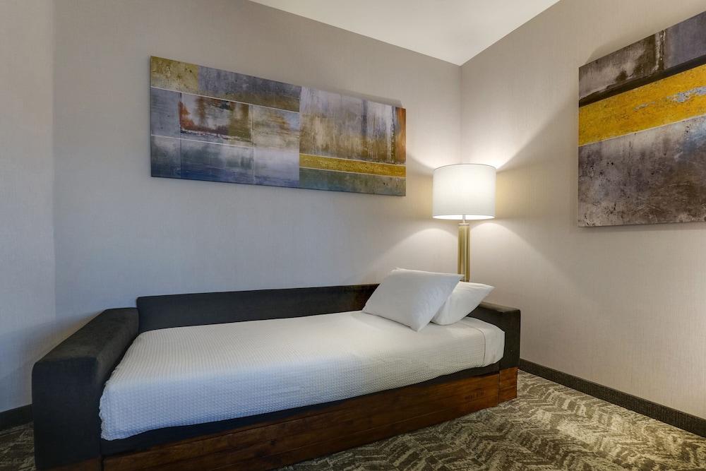SpringHill Suites by Marriott Cheraw 20/39